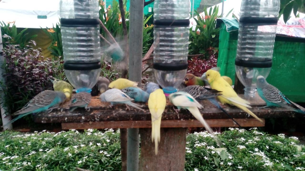 T Garden Villa Pantai Cenang  Exteriör bild