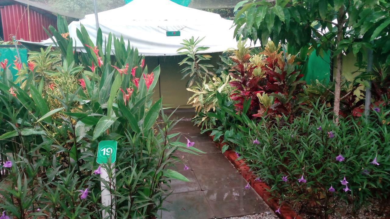 T Garden Villa Pantai Cenang  Exteriör bild
