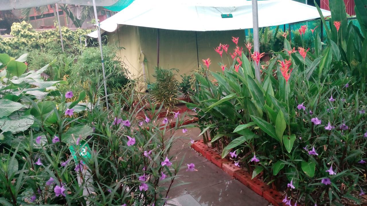 T Garden Villa Pantai Cenang  Exteriör bild