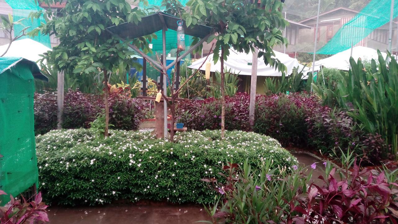 T Garden Villa Pantai Cenang  Exteriör bild
